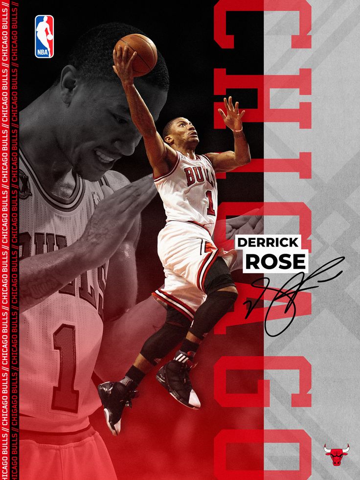 Derrick Rose Poster