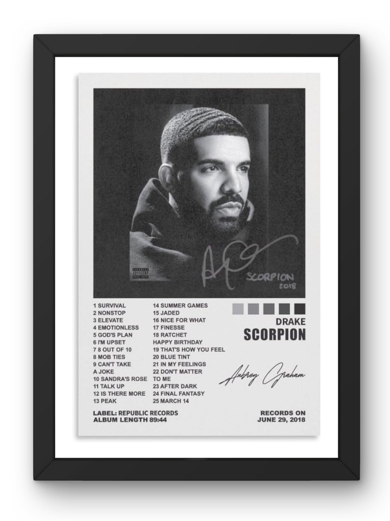 Drake "Scorpion" Album Poster